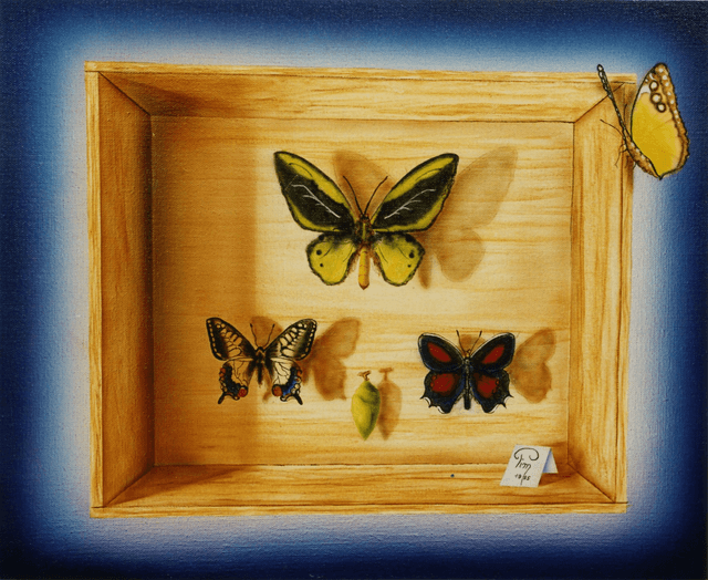 Papillon en visite  